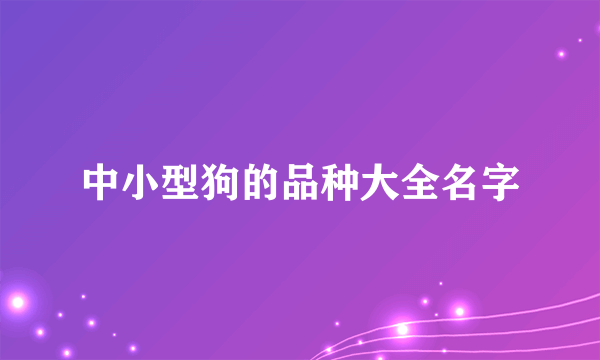 中小型狗的品种大全名字