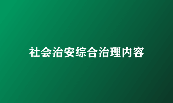 社会治安综合治理内容