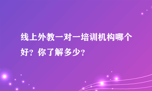 线上外教一对一培训机构哪个好？你了解多少？