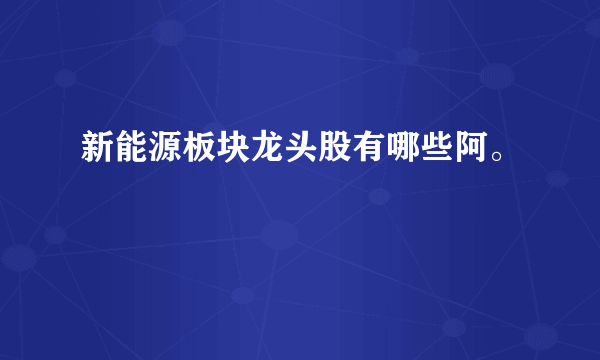 新能源板块龙头股有哪些阿。