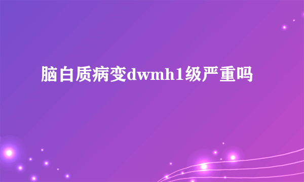 脑白质病变dwmh1级严重吗