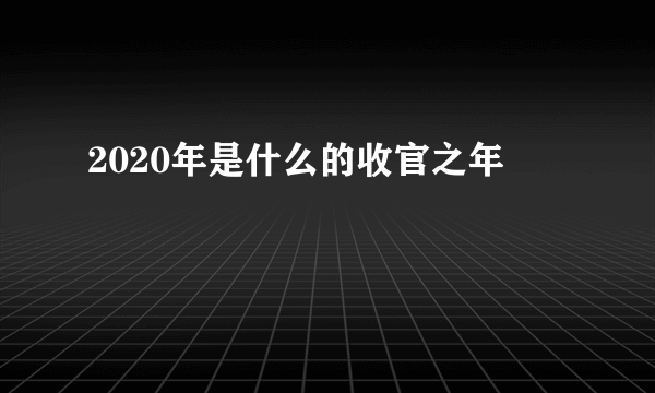 2020年是什么的收官之年