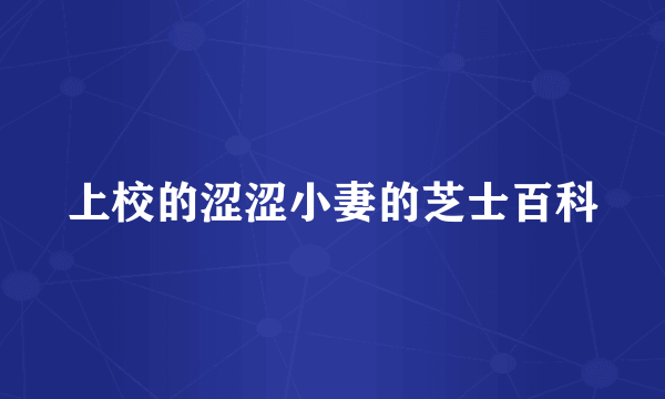 上校的涩涩小妻的芝士百科