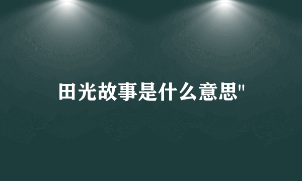 田光故事是什么意思