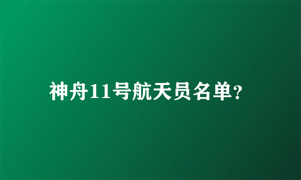 神舟11号航天员名单？