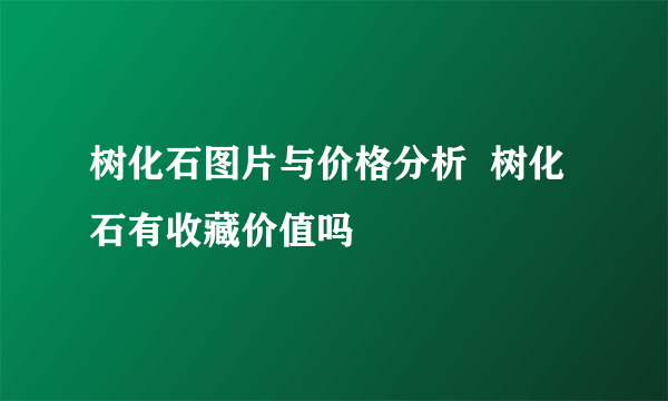 树化石图片与价格分析  树化石有收藏价值吗