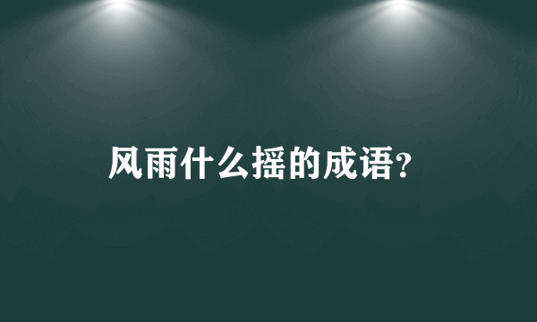 风雨什么摇的成语？