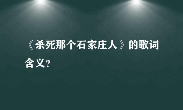 《杀死那个石家庄人》的歌词含义？