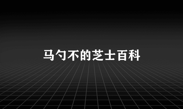 马勺不的芝士百科