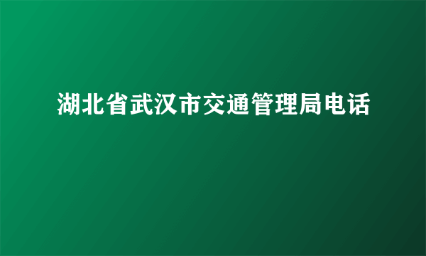 湖北省武汉市交通管理局电话