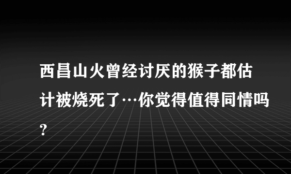 西昌山火曾经讨厌的猴子都估计被烧死了…你觉得值得同情吗？