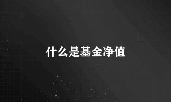 什么是基金净值