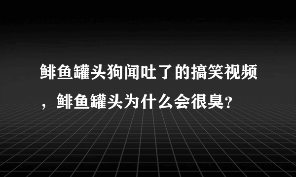 鲱鱼罐头狗闻吐了的搞笑视频，鲱鱼罐头为什么会很臭？