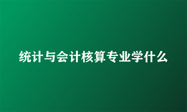 统计与会计核算专业学什么