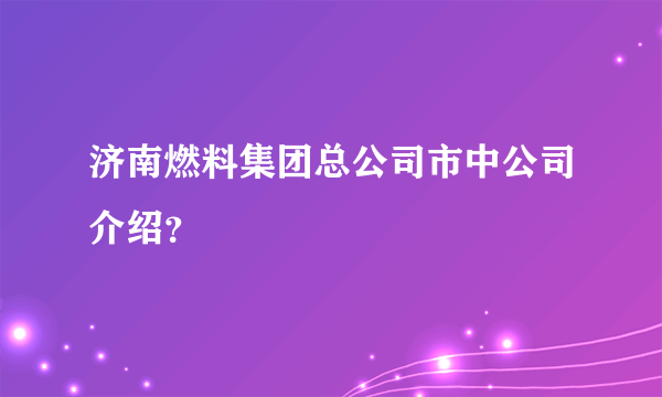济南燃料集团总公司市中公司介绍？