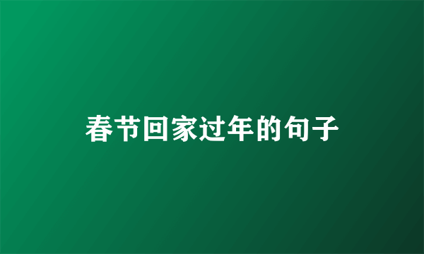 春节回家过年的句子