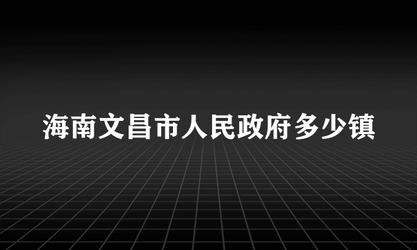 海南文昌市人民政府多少镇