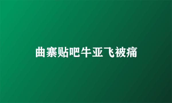 曲寨贴吧牛亚飞被痛