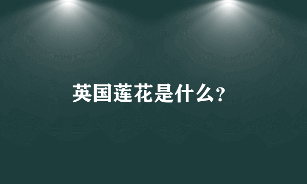英国莲花是什么？