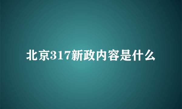 北京317新政内容是什么