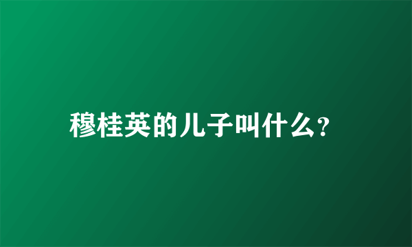 穆桂英的儿子叫什么？