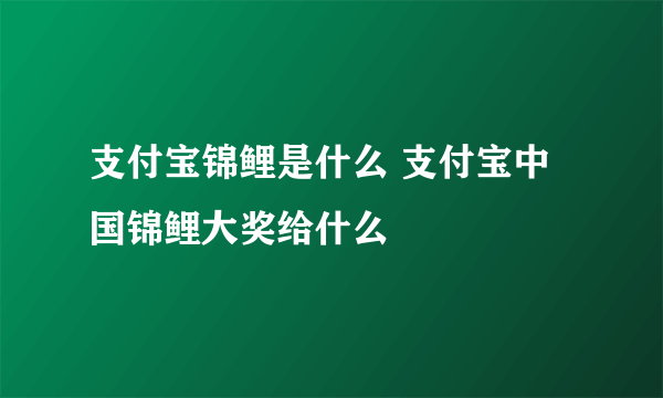 支付宝锦鲤是什么 支付宝中国锦鲤大奖给什么