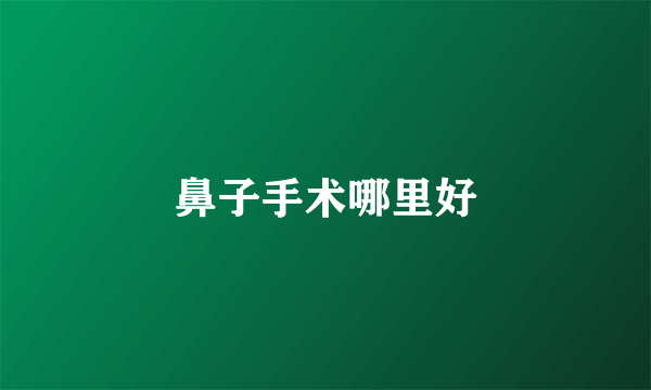 鼻子手术哪里好