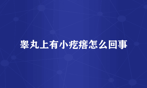 睾丸上有小疙瘩怎么回事