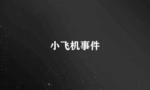 小飞机事件