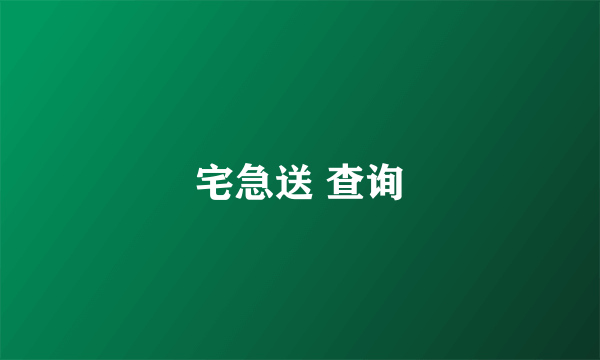 宅急送 查询