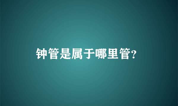 钟管是属于哪里管？