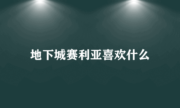 地下城赛利亚喜欢什么