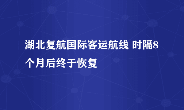 湖北复航国际客运航线 时隔8个月后终于恢复