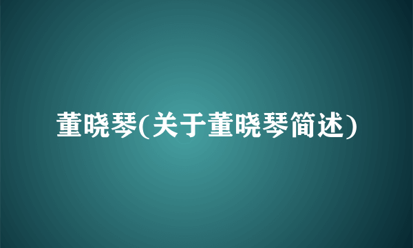 董晓琴(关于董晓琴简述)