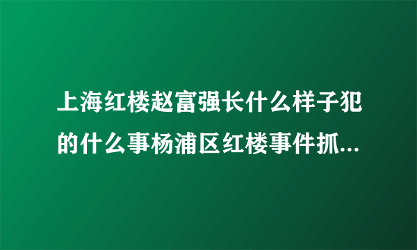 上海红楼赵富强长什么样子犯的什么事杨浦区红楼事件抓了多少人_飞外网