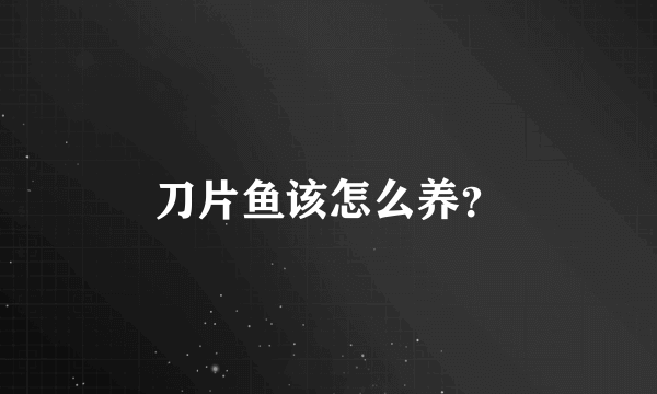 刀片鱼该怎么养？