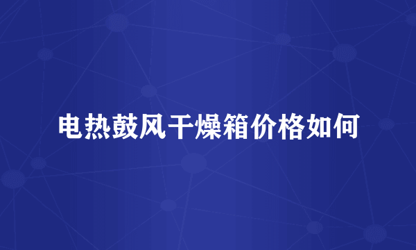电热鼓风干燥箱价格如何