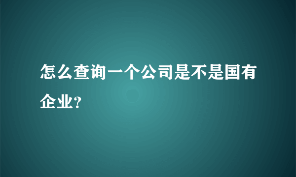 怎么查询一个公司是不是国有企业？