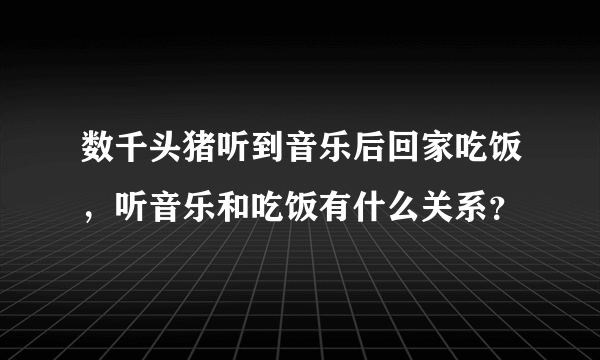 数千头猪听到音乐后回家吃饭，听音乐和吃饭有什么关系？