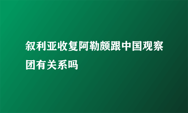 叙利亚收复阿勒颇跟中国观察团有关系吗