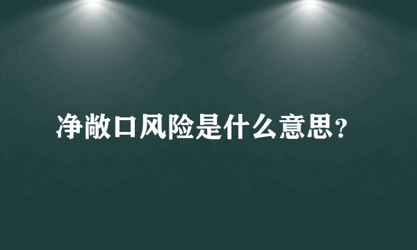 净敞口风险是什么意思？