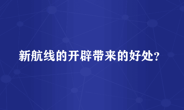 新航线的开辟带来的好处？