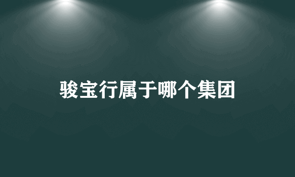骏宝行属于哪个集团