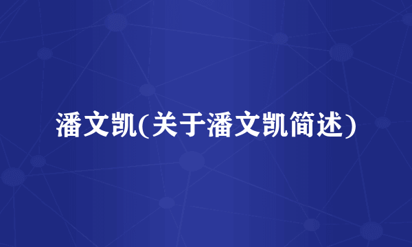潘文凯(关于潘文凯简述)