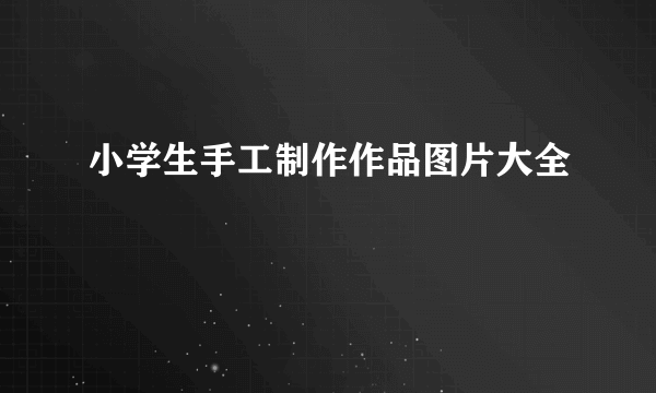 小学生手工制作作品图片大全
