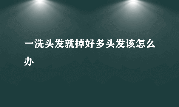 一洗头发就掉好多头发该怎么办