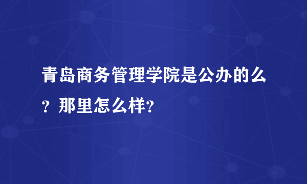 青岛商务管理学院是公办的么？那里怎么样？