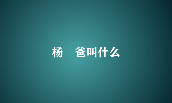 杨玏爸叫什么