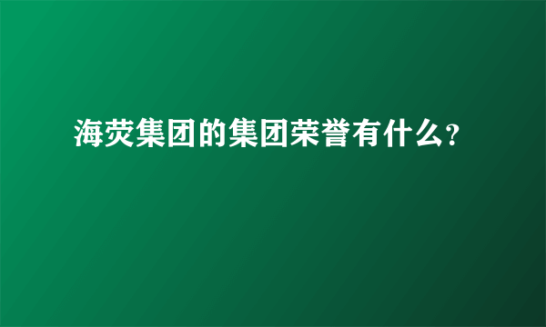 海荧集团的集团荣誉有什么？
