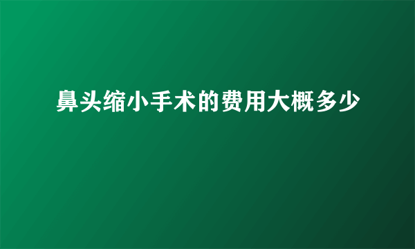 鼻头缩小手术的费用大概多少